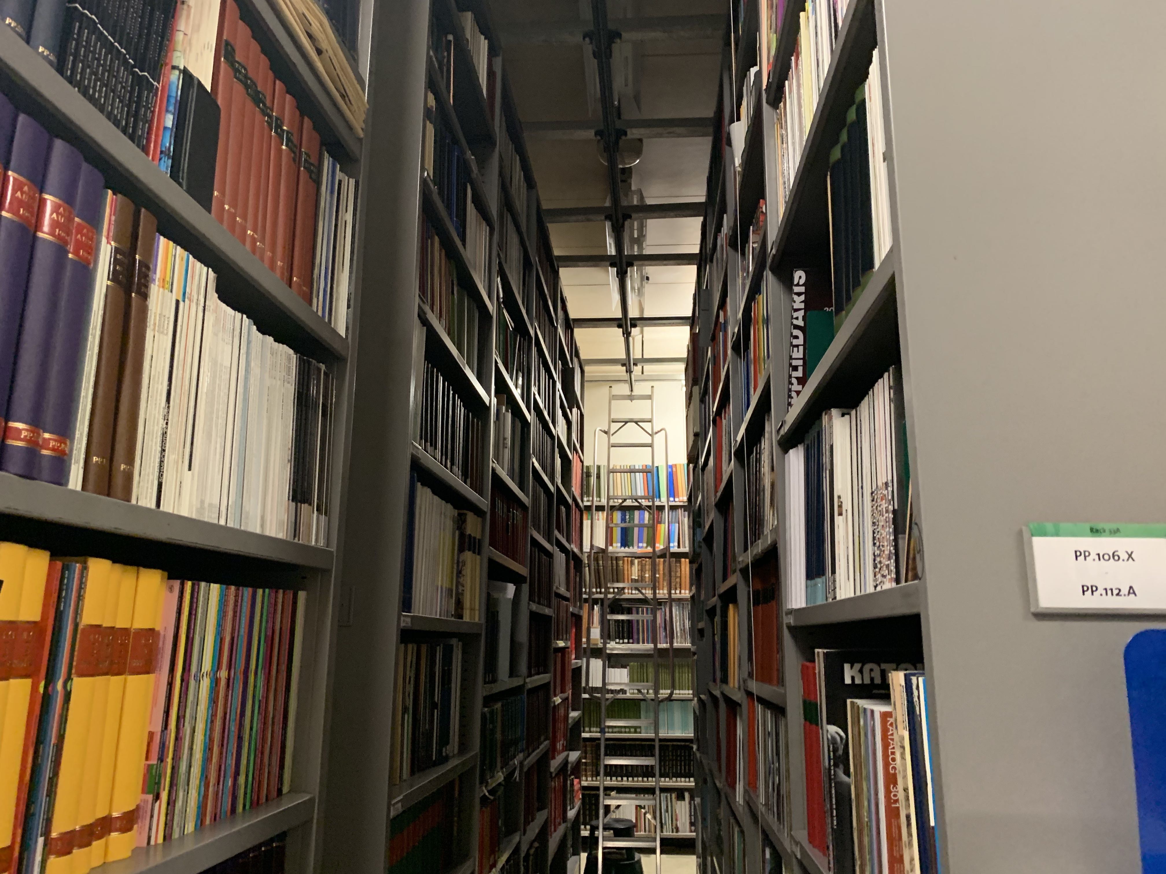 Cropped image of rows of metal shelves filled with books. Extension ladder in background